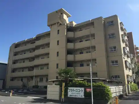 プラディスコート